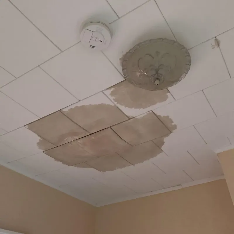 Ceiling Water Damage Repair in Crete, NE