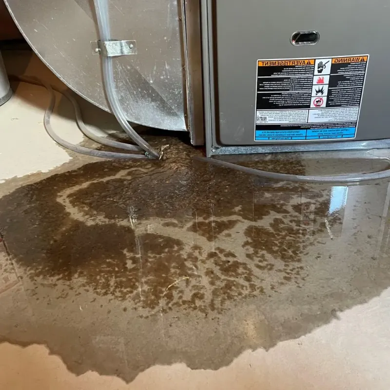 Pipe Burst and Leak Restoration in Crete, NE